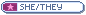button: she/they