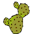 cactus gif